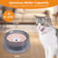 Pet Bowl-98664299