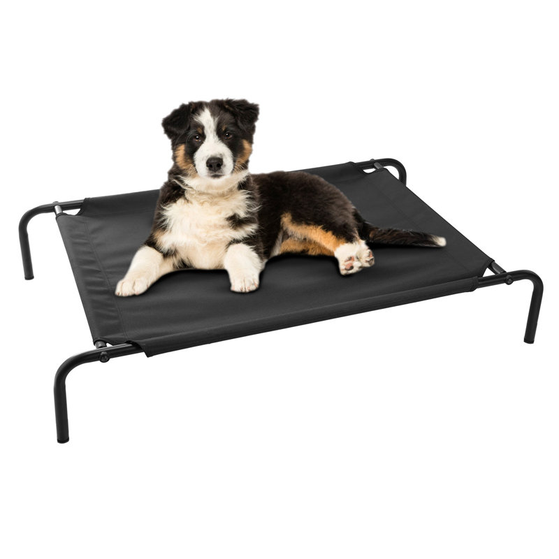 Lit surélevé pour animal de compagnie, H 7,09 po x l 37,8 po x P 25,6 po