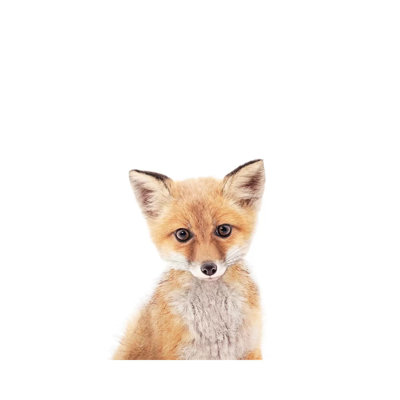 «Baby Fox» par Sissi & Seb - reproduction de photo