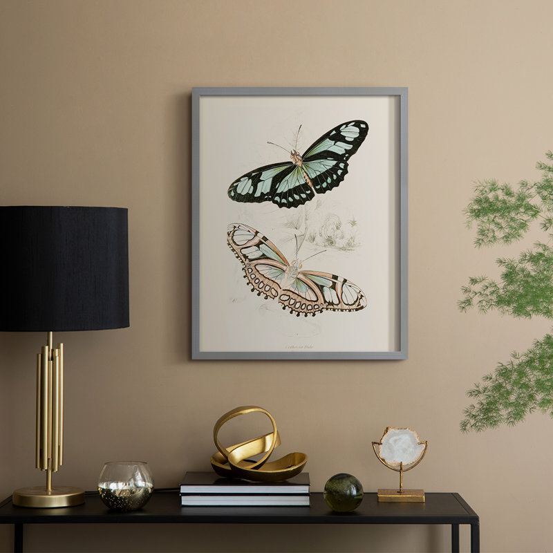 «Vintage Animal Print», reproduction encadrée en L - bois massif, Gris, H 30 po x l 24 po