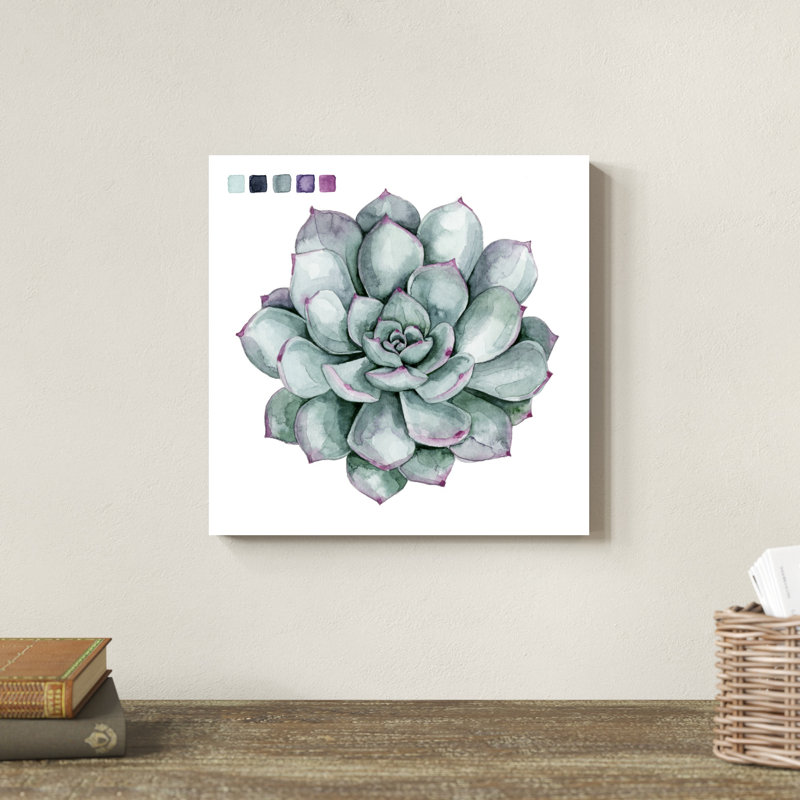 «Succulent Swatches II» par Grace Popp, reproduction d'art sur toile, H 12 po x l 12 po, Toile tendue