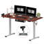 Bureau debout ajustable, bureau entier-427311896-482502439