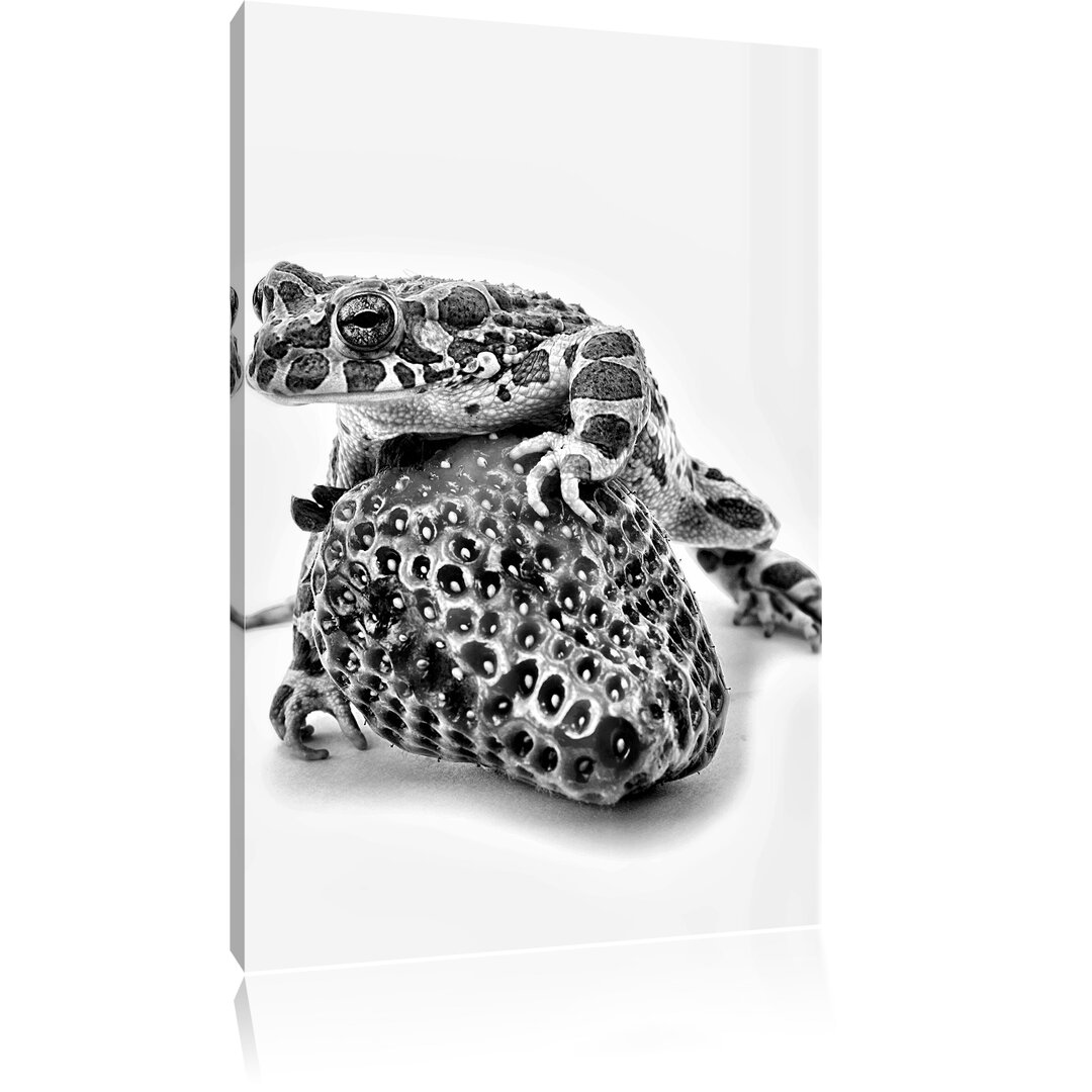 Leinwandbild Strawberry Frog Glas Erdbeere Frosch in Monochrom