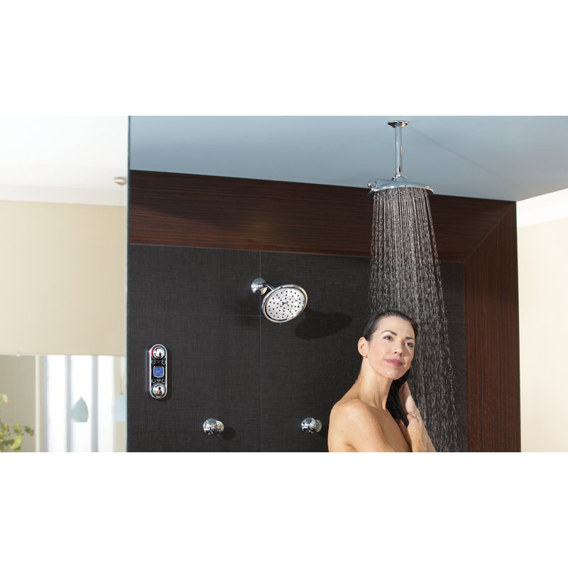 Velocity 2.5 GPM Multi Function with Immersion, Chrome
