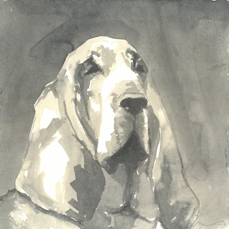 Sepia Modern Dog II - Wrapped Canvas Painting, 51cm H x 51cm W x 3.8cm D