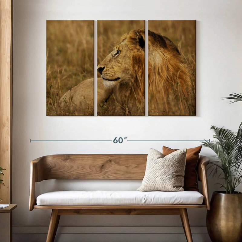 Brampt lion au repos dans le Serengeti, H 32 po x l 50 po