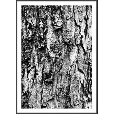 Single Picture Frame Print