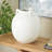 Zadah Ceramic Minimalistic Decorative White Vase with Scroll Handles