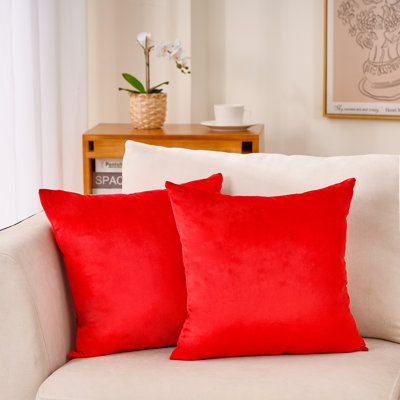 Housse de coussin en velours