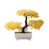 Jaune est en rupture de stock
