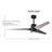 Ceiling Fan with LED Lights-1457523-82883355-5289484