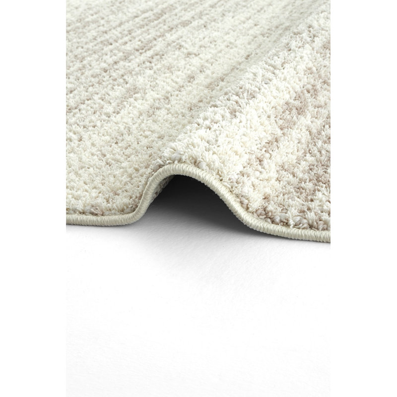 Rohles Abstract Machine Made Indoor / Outdoor Area Rug, Runner 120 x 300cm