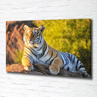 Portrait Of A Tiger - Wrapped Canvas Print