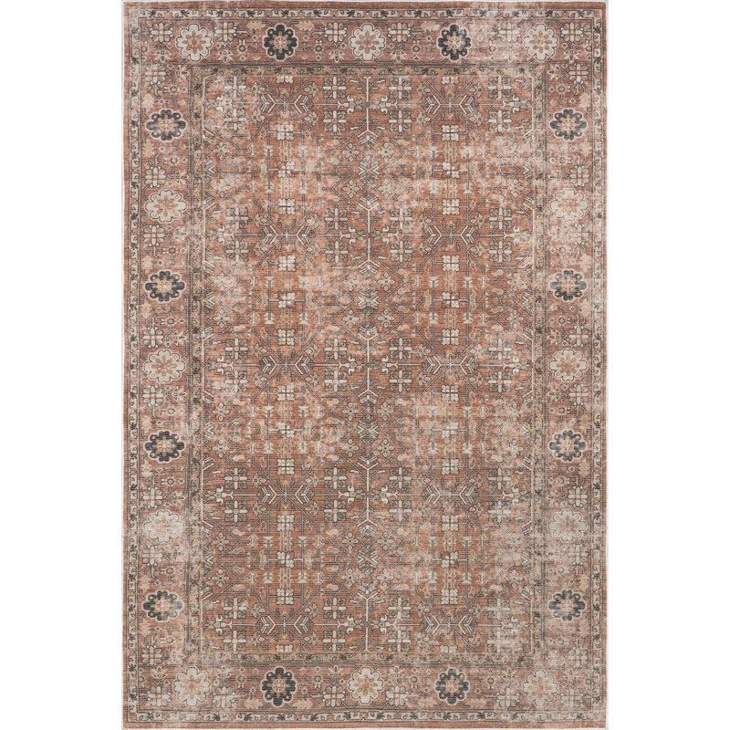 Evalina SpinClean Traditional Cotton Machine Washable Area Rug, Rectangle 3' x 5'