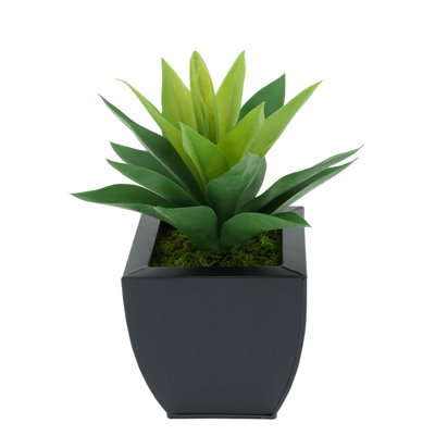 Plante grasse artificielle 7 po en pot