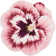 Wendover Floral Indoor Rug