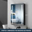 Armoire pour pharmacie avec miroir à fixation en surface l 20 po x H 30 po Wira-188894807