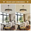 28.4in Modern Black Gold Crystal Chandelier, E14 Base, Dimmable, No Bulb Included