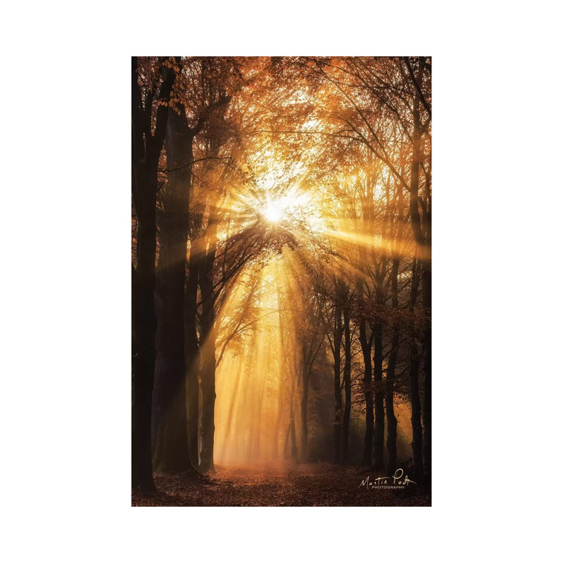 Sunburst by Martin Podt - Wrapped Canvas Gallery-Wrapped Canvas Giclée, 30.48cm H x 30.48cm W