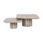 Denizly Nesting Coffee Table
