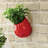 Hilaria Ceramic Wall Planter-1019888352-1019888355