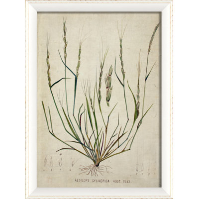 «Botanical», impression encadrée
