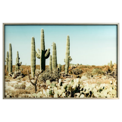 «Saguaro», reproduction de photo sur verre encadrée