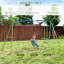 Goza Freeport Park Swing Set Swing(s)
