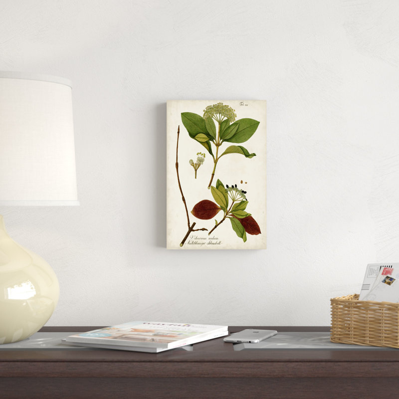 Verdure antique II, H 12 po x l 8 po