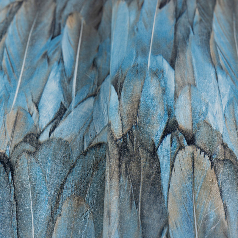 Rouleau d'impression Aakin, Bleu