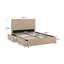Cletus Upholstered Storage Bed-1691165818