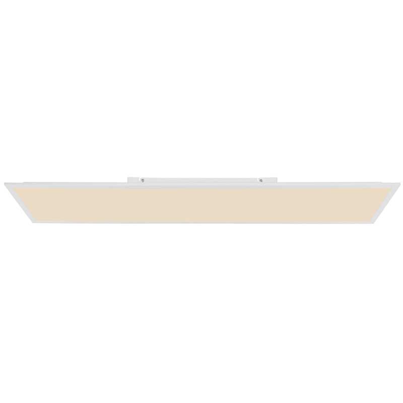 Cortasia Plastic LED Flush Mount