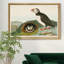 Macareux moine - reproduction d'art sur toile-1808881374-1808881373