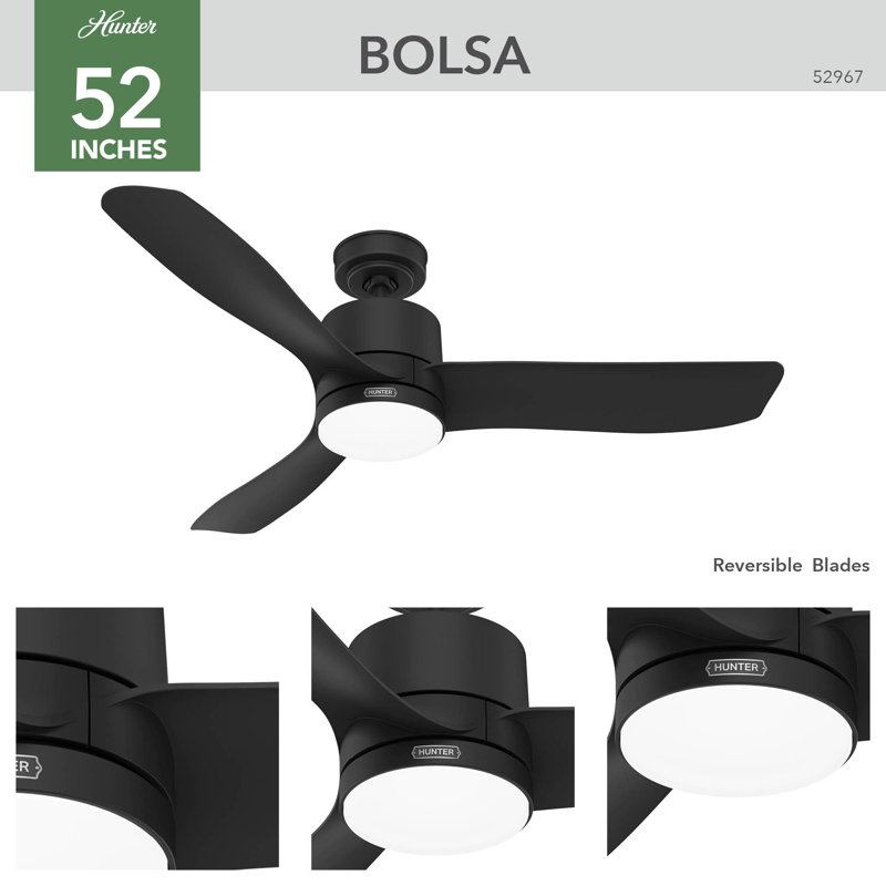 Hunter 52 Inch Bolsa Damp Rated Ceiling Fan With Lights And Remote, Matte Black