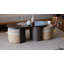 Kangaroo Solid Wood Coffee Table-461564699-461564700