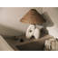 NAIRN Table Lamp by Chandler McLellan x Troy Lighting