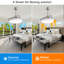 Beilin Ceiling Fan with LED Lights