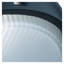 Alvaro 16cm H Outdoor Flush Mount