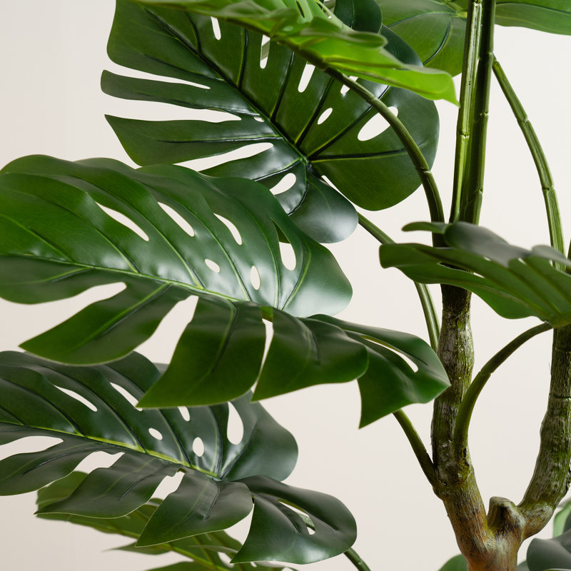 160cm Faux Real Touch Monstera Tree