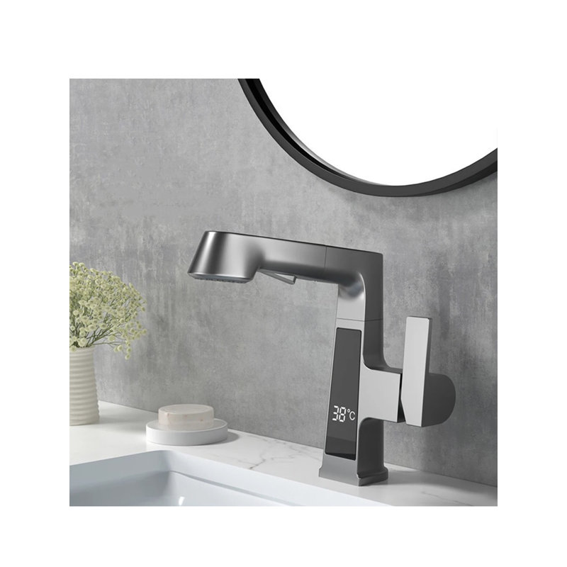 Robinet de salle de bain extractible à un trou, Gris bronze