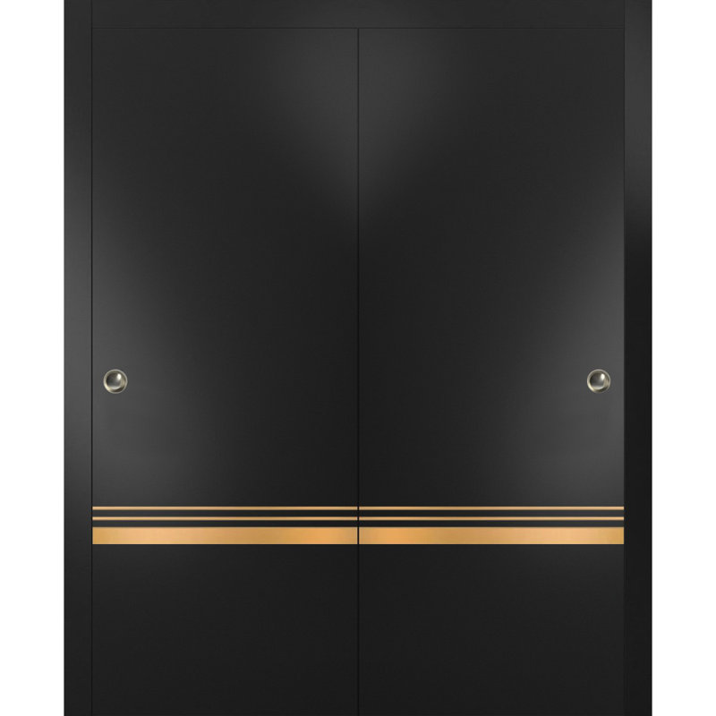 Portes coulissantes de placard avec quincaillerie Planum 2010 Noir mat, rails robustes, moulures, garnitures, ensemble de quincaillerie, portes de placard de chambre modernes en bois massif - 64 po x 84 po (2 x 32 x 84)