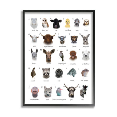 Carte alphabétique des animaux sauvages - Impression sur toile