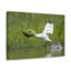 No Frame Print on Canvas