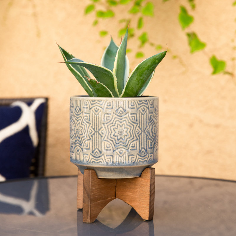 Pot Planter