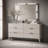 Penthouse 6-Drawer Dresser with Mirror - Ash Gray