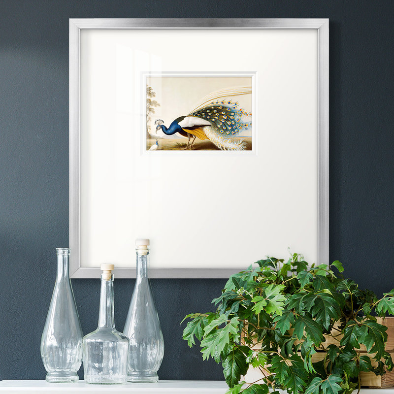 Reproduction encadrée Golden Peacockpremium, H 17 po x l 17 po x P 1,25 po, Cadre noir