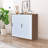 2 Door Locker Cabinet With Shelves And Key Lock 