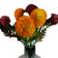 Plastic, Silk Artificial Arrangement-106401567