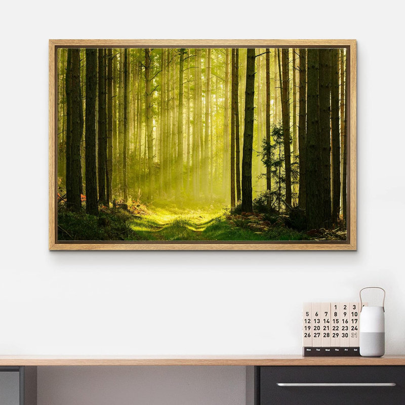 Nature, paysage, printemps, été, soleil, forêt verte, photographie sur toile, H 24 po x l 36 po x P 1,5 po, Cadre naturel