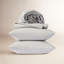 Fitted Sheet-21946603-106894185